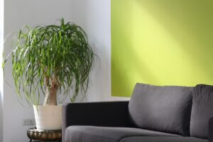 復縁を目指す人のための無料セミナーはどこで受けられる？