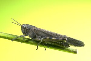 元彼から連絡が来て迷う時、どうすればいい？