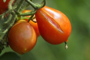 復縁のためのカウンセリングで根本原因を解決するおすすめの方法は？