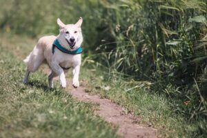 復縁の方法で失敗しやすいポイントはどこ？