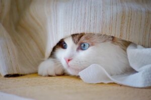 復縁で失敗した体験談から学ぶ、成功するためのポイントは？