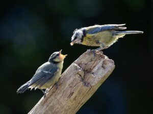 復縁の相談はどこにすればいい？