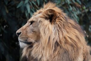 復縁はいつから始めるべき？そのタイミングとポイントを解説！